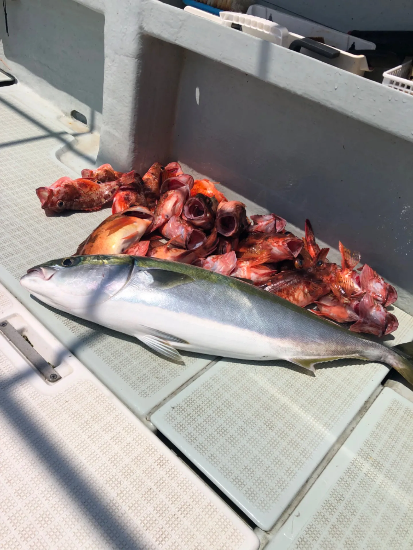 2023/06/29 ライトゲーム