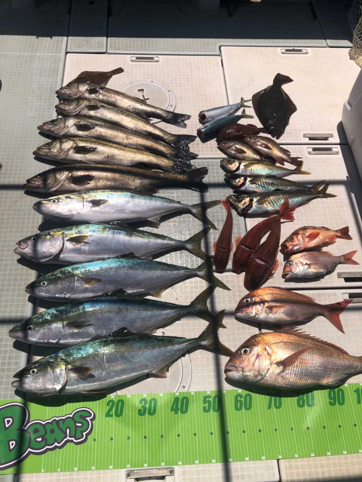 2023/07/30 ジギングとライトゲーム